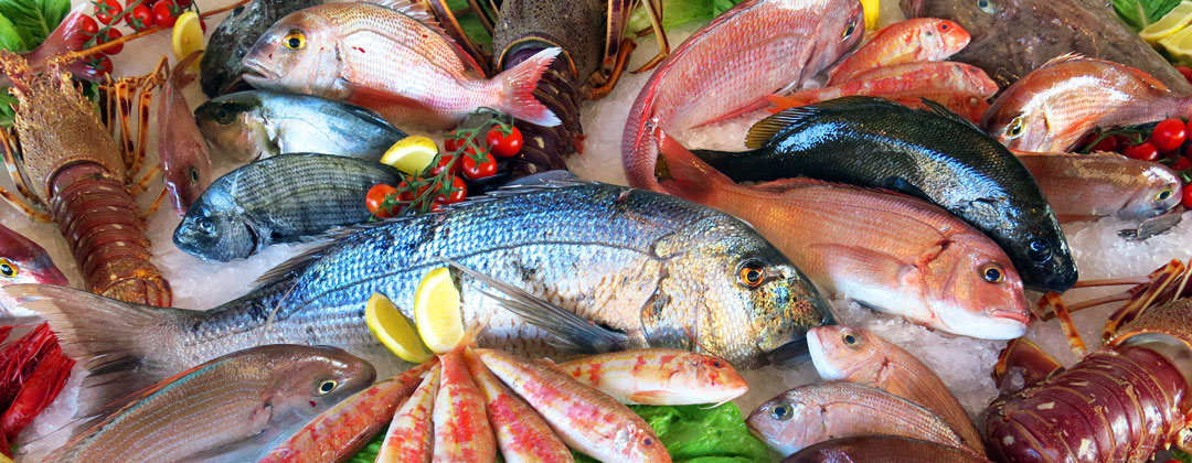 coastal catch seafood exporter